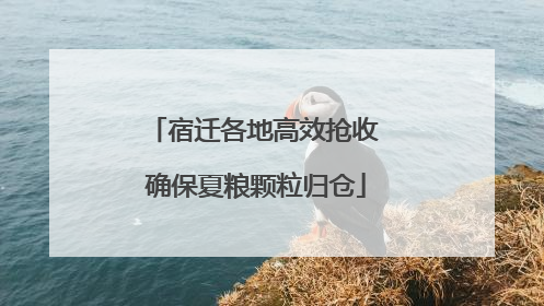 宿迁各地高效抢收 确保夏粮颗粒归仓
