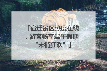 宿迁景区热度在线，游客畅享端午假期“末梢狂欢”