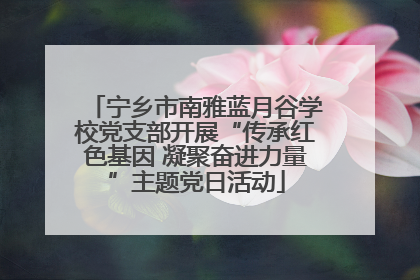 宁乡市南雅蓝月谷学校党支部开展“传承红色基因 凝聚奋进力量”主题党日活动