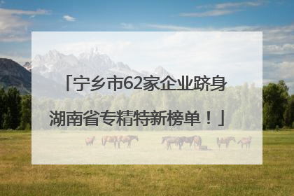 宁乡市62家企业跻身湖南省专精特新榜单！