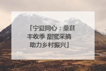 宁夏同心：桑葚丰收季 甜蜜采摘助力乡村振兴