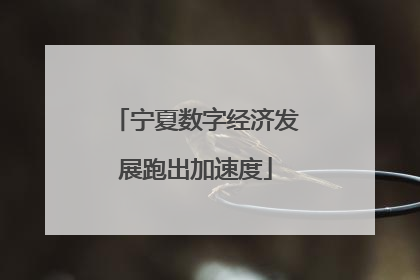 宁夏数字经济发展跑出加速度