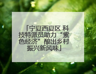 宁夏西夏区 科技特派员助力“紫色经济”酿出乡村振兴新风味