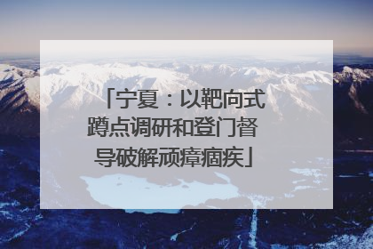 宁夏：以靶向式蹲点调研和登门督导破解顽瘴痼疾
