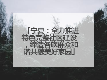宁夏：全力推进特色完整社区建设，缔造各族群众和谐共融美好家园