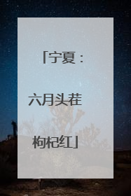 宁夏：六月头茬枸杞红