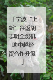 宁波“上新”往返胡志明全货机 助中越经贸合作升级