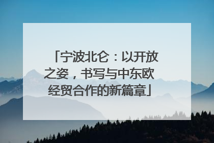 宁波北仑：以开放之姿，书写与中东欧经贸合作的新篇章