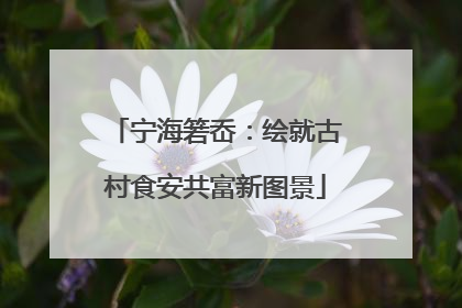 宁海箬岙：绘就古村食安共富新图景