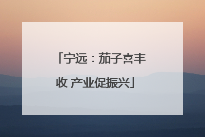 宁远：茄子喜丰收 产业促振兴