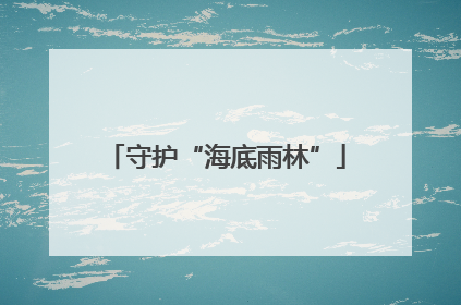 守护“海底雨林”