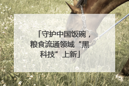 守护中国饭碗，粮食流通领域“黑科技”上新