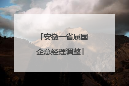 安徽一省属国企总经理调整