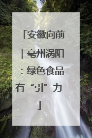 安徽向前｜亳州涡阳：绿色食品有“引”力