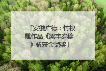 安徽广德：竹根雕作品《梁丰岁稔》斩获金鼎奖