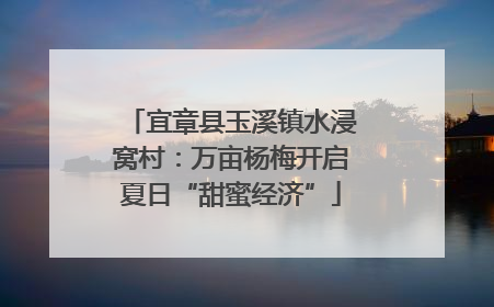 宜章县玉溪镇水浸窝村：万亩杨梅开启夏日“甜蜜经济”