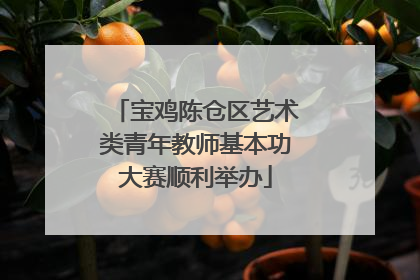 宝鸡陈仓区艺术类青年教师基本功大赛顺利举办