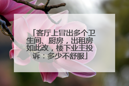 客厅上冒出多个卫生间、厨房，出租房如此改，楼下业主投诉：多少不舒服