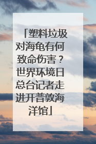 塑料垃圾对海龟有何致命伤害？世界环境日总台记者走进开普敦海洋馆