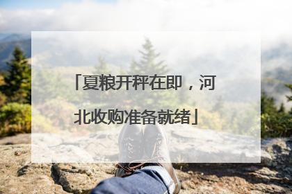 夏粮开秤在即，河北收购准备就绪