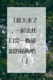 夏天来了，一起去托口尝一颗最甜的杨梅吧！
