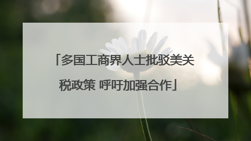 多国工商界人士批驳美关税政策 呼吁加强合作