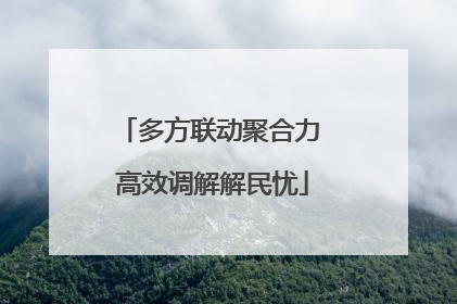 多方联动聚合力 高效调解解民忧