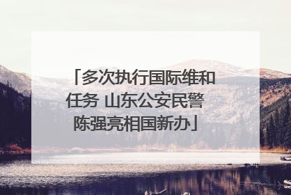 多次执行国际维和任务 山东公安民警陈强亮相国新办
