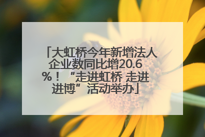 大虹桥今年新增法人企业数同比增20.6%！“走进虹桥 走进进博”活动举办