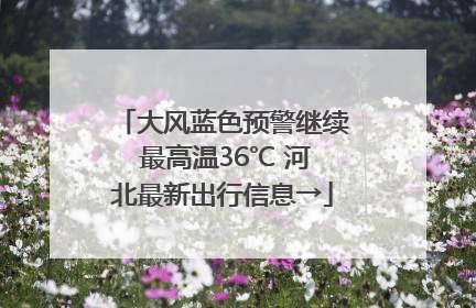大风蓝色预警继续 最高温36℃ 河北最新出行信息→