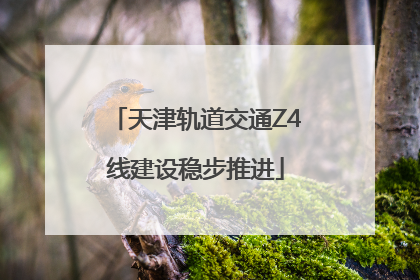 天津轨道交通Z4线建设稳步推进
