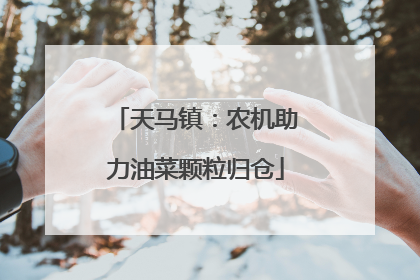 天马镇：农机助力油菜颗粒归仓