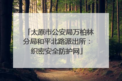 太原市公安局万柏林分局和平北路派出所：织密安全防护网