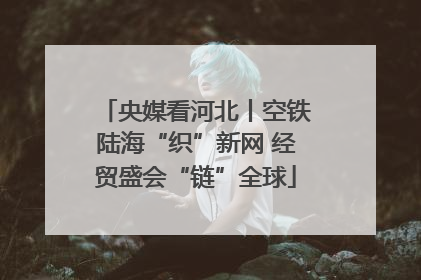 央媒看河北丨空铁陆海“织”新网 经贸盛会“链”全球