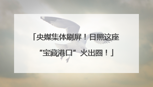 央媒集体刷屏！日照这座“宝藏港口”火出圈！