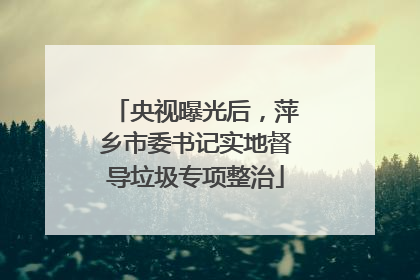 央视曝光后，萍乡市委书记实地督导垃圾专项整治