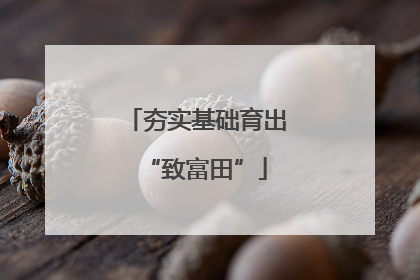 夯实基础育出“致富田”