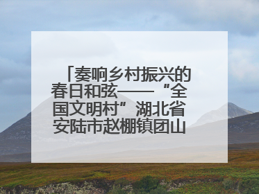 奏响乡村振兴的春日和弦——“全国文明村”湖北省安陆市赵棚镇团山村农文旅融合发展见闻