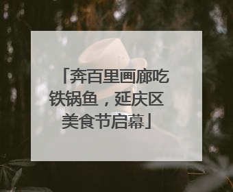 奔百里画廊吃铁锅鱼，延庆区美食节启幕