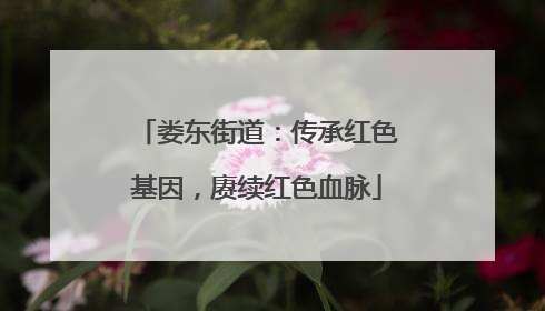 娄东街道：传承红色基因，赓续红色血脉