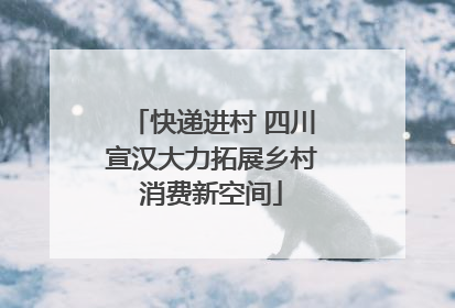 快递进村 四川宣汉大力拓展乡村消费新空间