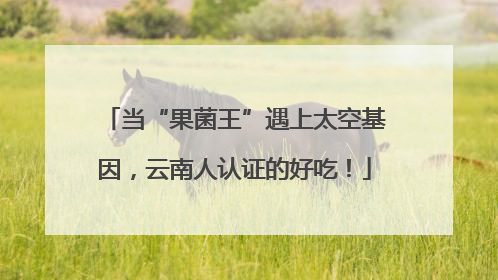 当“果菌王”遇上太空基因，云南人认证的好吃！