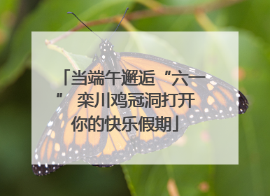 当端午邂逅“六一” 栾川鸡冠洞打开你的快乐假期