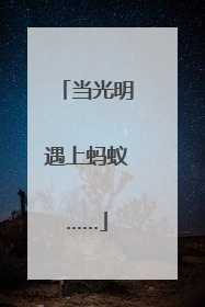 当光明遇上蚂蚁……