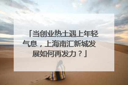 当创业热土遇上年轻气息，上海南汇新城发展如何再发力？