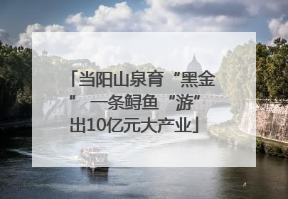 当阳山泉育“黑金” 一条鲟鱼“游”出10亿元大产业