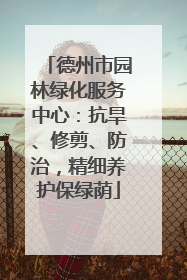 德州市园林绿化服务中心：抗旱、修剪、防治，精细养护保绿荫