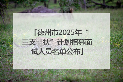 德州市2025年“三支一扶”计划招募面试人员名单公布
