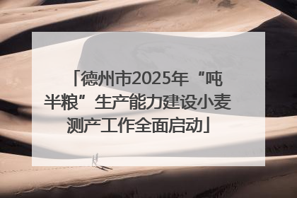 德州市2025年“吨半粮”生产能力建设小麦测产工作全面启动