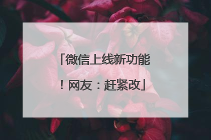 微信上线新功能！网友：赶紧改